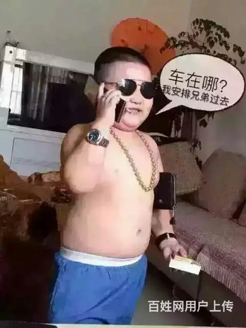 货车与皮卡（ - 图片 2