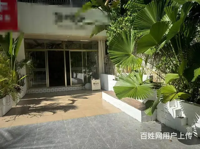 （51旺铺推荐）阳区海螺40平花艺店转让 - 图片 1