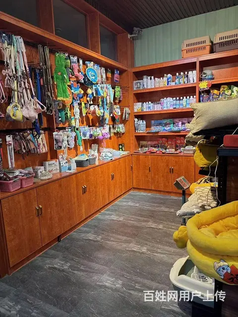 (旺铺猫)：兖州 带几百会员，经营多年宠物店 - 图片 2
