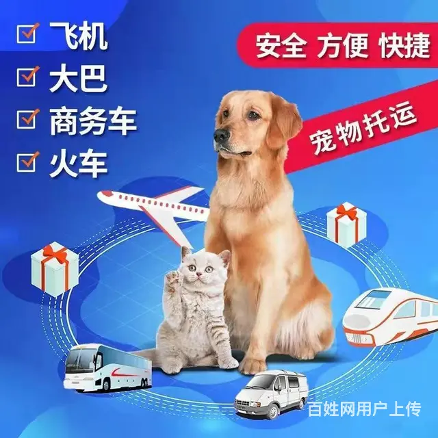 常熟宠物托运 （猫狗活体运输）宠物快递至全国 - 图片 3
