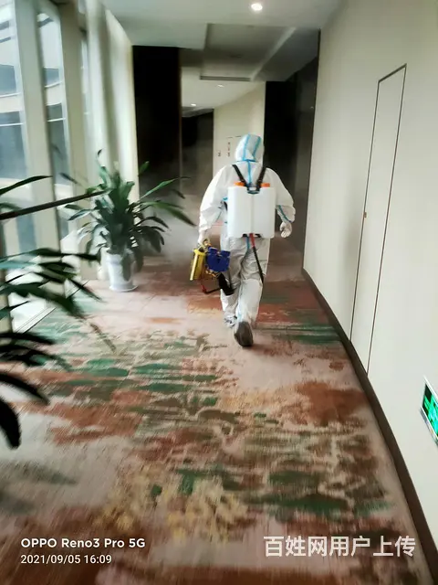 沙发座椅软包窗帘床头地毯清洗除螨 - 图片 10