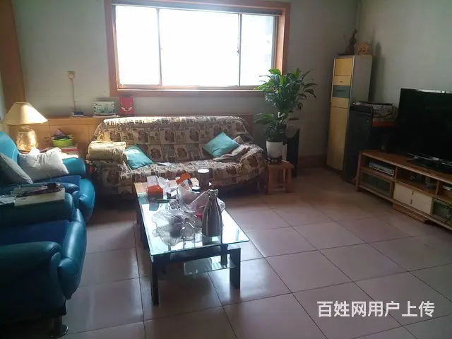 黄4渤9路口西北角 （安达驾校宿舍）普通住宅2厅 中等装修 - 图片 5