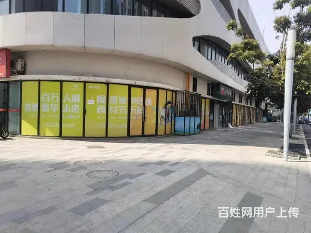 单价9转角商铺 20个车位 市中心送4套一楼商铺 沿街现铺 - 图片 6