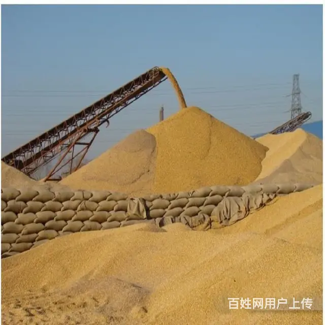 宝鸡长期收购二等玉米 - 图片 3