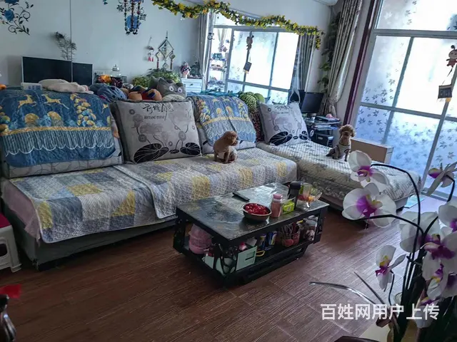 双学区  可焦东路小学 十七中 2楼 2室 可贷款 - 图片 1