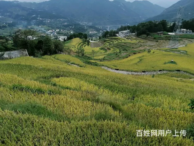尧龙云海2室1厅1卫 - 图片 5