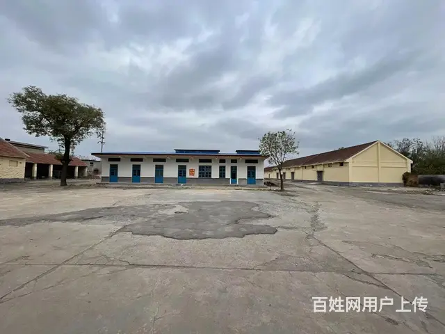 桓台县果里镇大院子厂房出租 - 图片 4