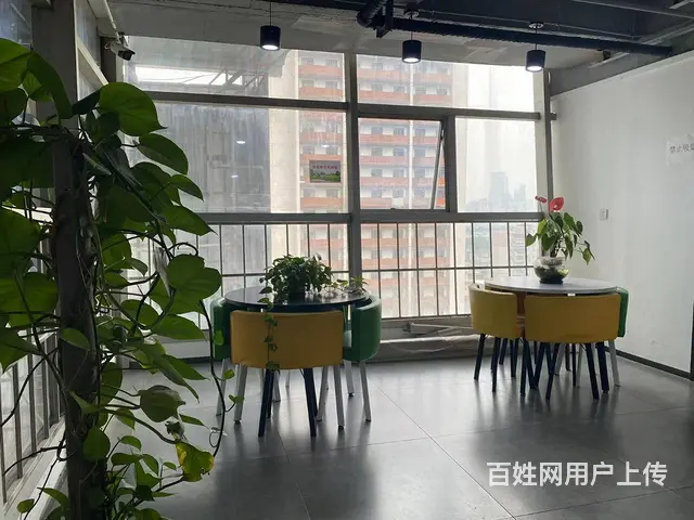 创业省钱小办公，成都各区均有！适合2至16人办公0杂费 - 图片 3