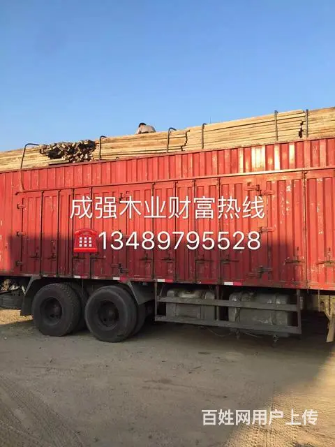 泉州地区出售旧建筑模板.旧上海方木 - 图片 11