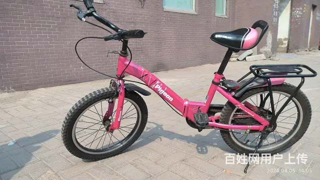 【搞定了！】儿童飞鸽品折叠自行车，99全新，折叠后可放汽后备 - 图片 5
