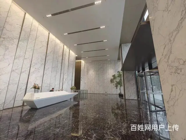 杭州地标建筑 杭州中心武林广场地铁口 豪装带家私 各面积可选 - 图片 11