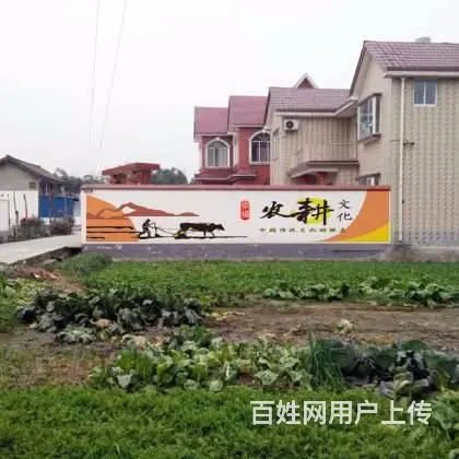 深圳彩绘墙体广告设计案例,广东外墙手工墙画 - 图片 2