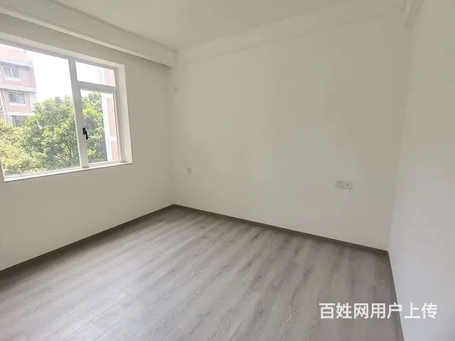 九洲港码头 九洲花园  黄金楼层  全新精装3房 南北通透 - 图片 4