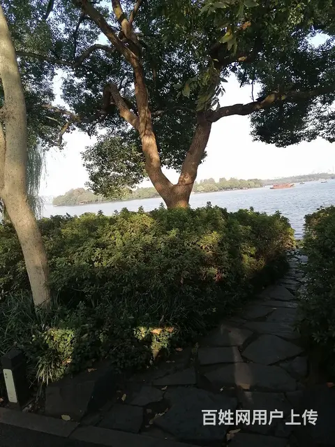 离实验初高中近 - 图片