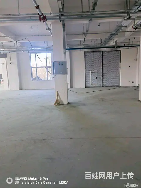 香坊香福路标准厂房出租 - 图片 12