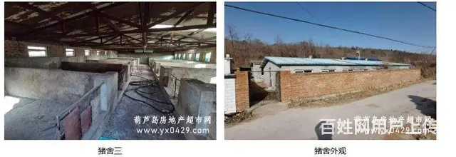 养猪场    低价出售、出租 - 图片 5