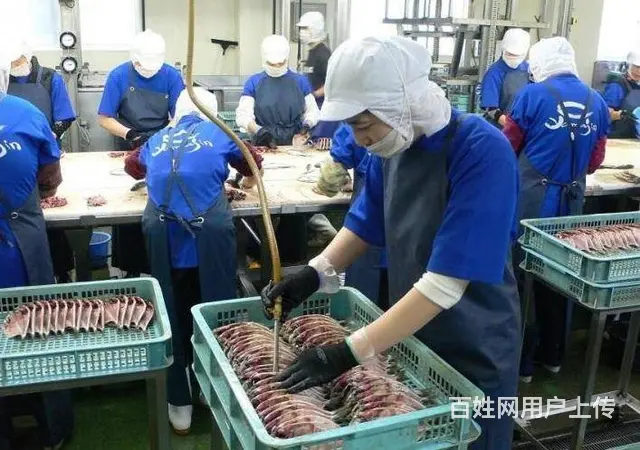 劳务派遣（澳洲保签）华人企业急聘普工 技工 家政等 - 图片 1
