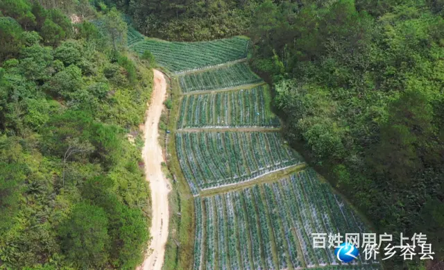 浏阳到长沙网约车拼车商务车电话   24小时服务 - 图片