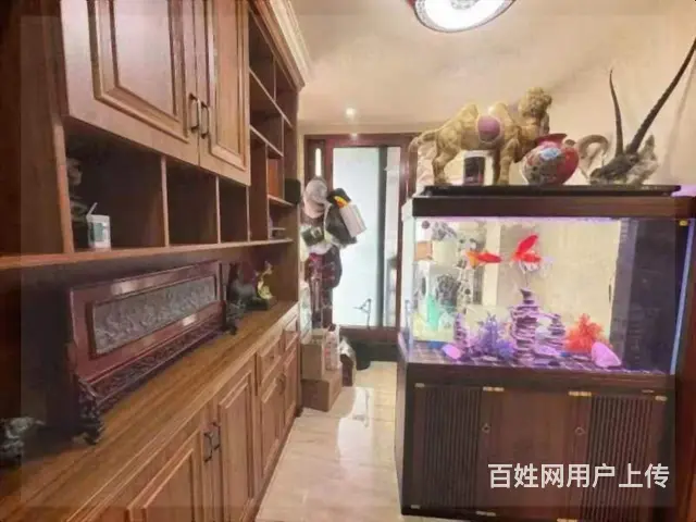 碧阳国际城4房2厅2卫豪华装修看房方便 - 图片 12