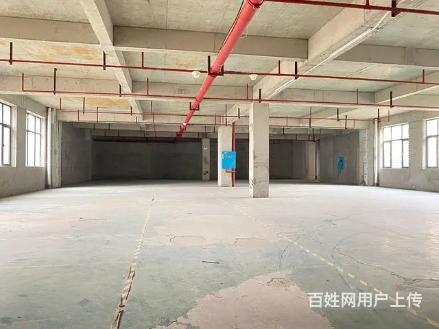 (房东直租)星沙铭城绿谷产业园490平厂房优价出租 - 图片 10