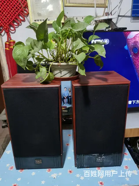 转让一套闲置的高档豪华音箱 - 图片 1