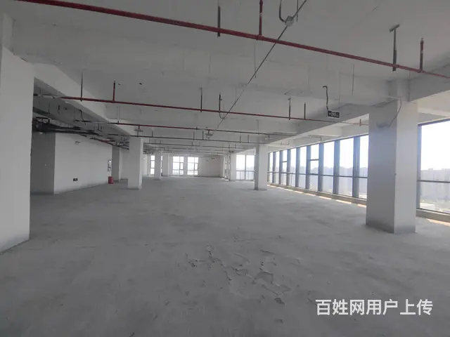 金龙湖地铁口1000平明阳广场一手纯办公现房 - 图片 5