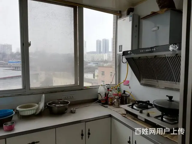 植物园小区 普通住宅 精装修双气双证 - 图片 5