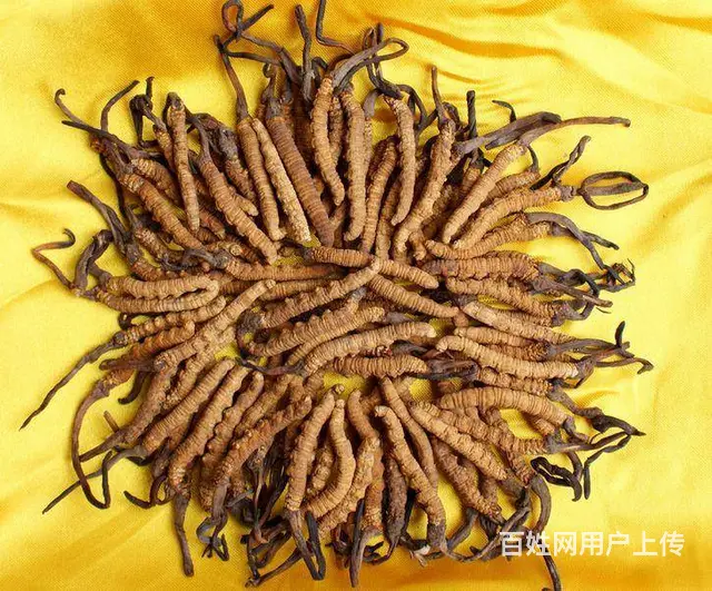 回收礼品茅台五粮液冬虫夏草洋酒轩尼诗马爹利 - 图片 3