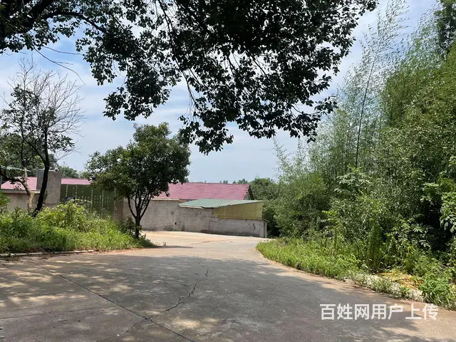 （个人发布）黄花镇金阳大道旁550平独门独院厂房出租 - 图片 4