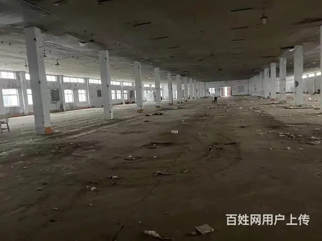 淄川区罗村镇厂房出租 - 图片 5