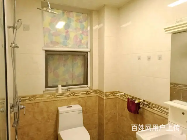 常青藤 普通住宅1厅 精装修 - 图片 4