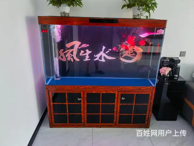 鱼缸 - 图片 1