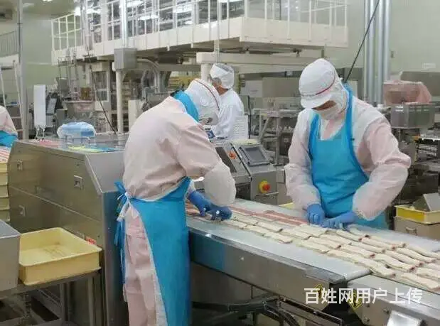 出国打工 月薪3万（保签）欧洲 澳大利亚厨师司机 - 图片 5