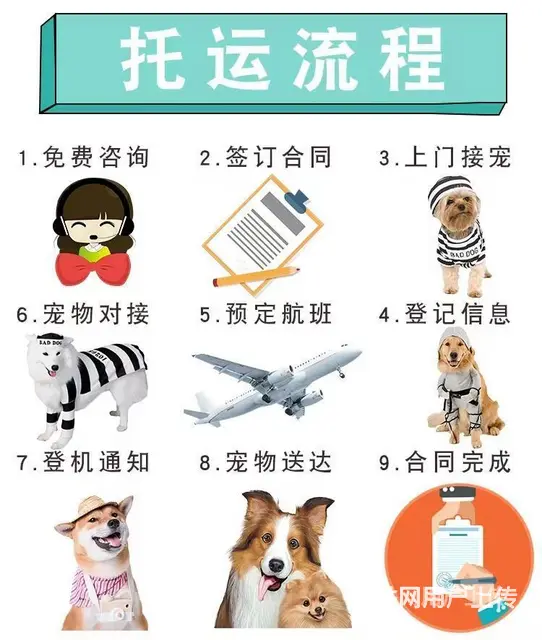 推荐） 三门峡灵宝宠物托运到全国）（猫狗）邮寄快递（宠物活体 - 图片 1
