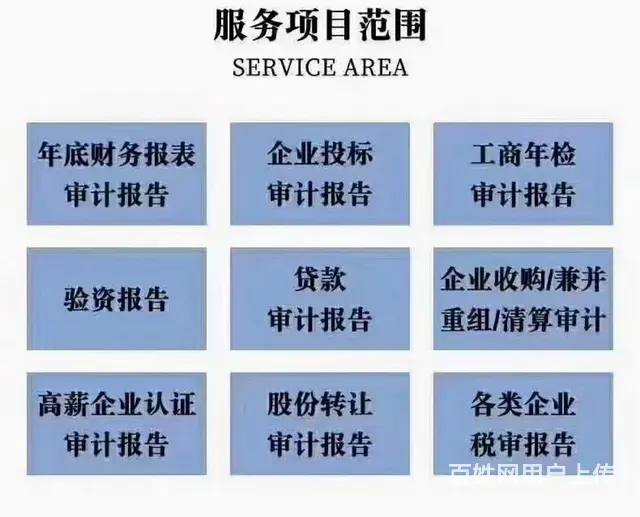 投标审计  验资报告 - 图片