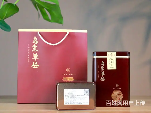 至诚茶业凤凰单丛鸭屎香2023年新茶雪片茶500g - 图片 3