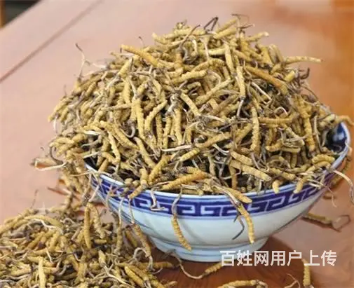 花都回收冬虫夏草店铺-花都发霉虫草专业回收 - 图片 12