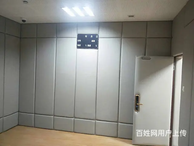 电视背景墙软包硬包 - 图片 9