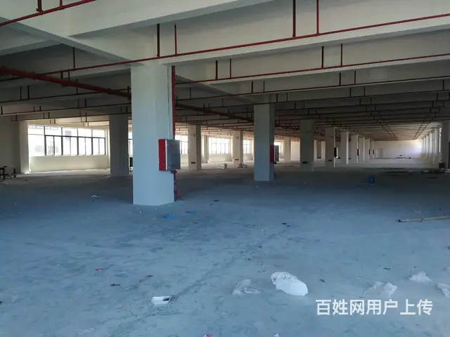 金湾定湾路工业园 - 图片 3