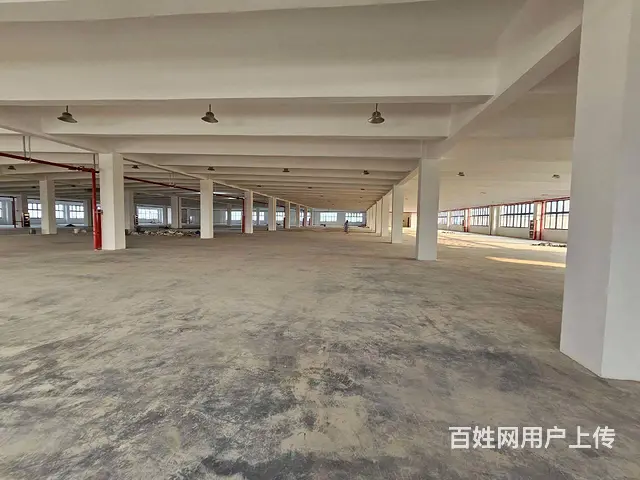 支塘独栋全新1至3楼每层6000平，高12米，可架20吨行车 - 图片 3