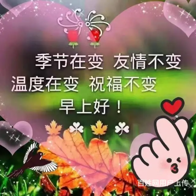 征婚 - 图片