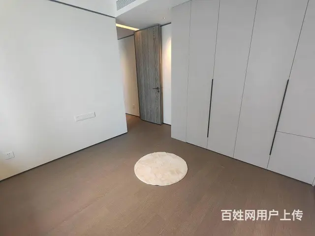武昌万象城，武昌滨江，绿地606，徐家棚地铁口，宸 - 图片 5