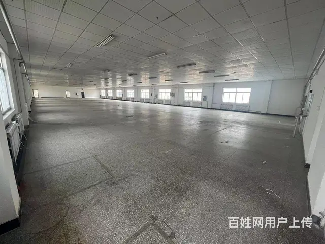 （新房源）羊亭和兴路附近标准厂房出租可分租 - 图片 7