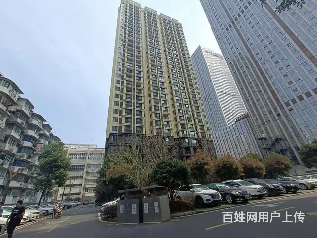 48地铁岳家嘴 精装修两室 中兴时代数码港 山河 - 图片 12