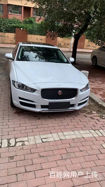 奔驰霸道宝马猛禽皮卡别克商务奥迪等车型 - 图片 10