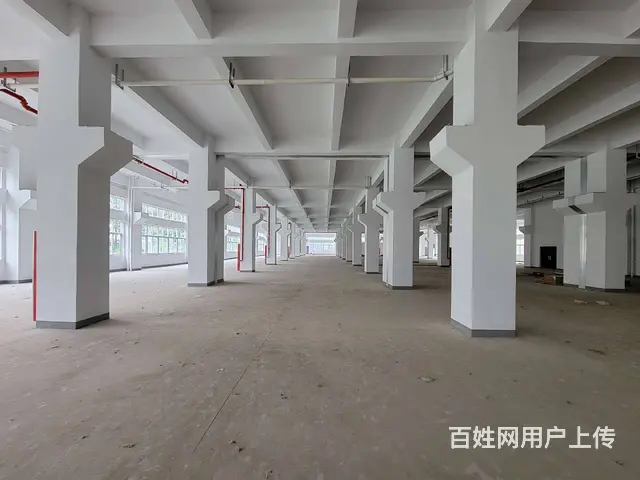 古里全新独栋厂房每层5300平，配有4部3吨货梯，有食堂宿舍 - 图片 1