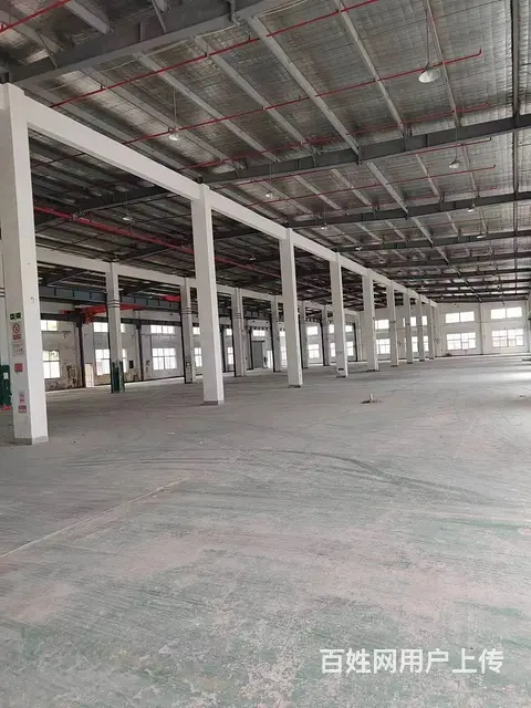 机场路火车头单层独栋3000平标准厂房出租适合，模具，工业。 - 图片 2