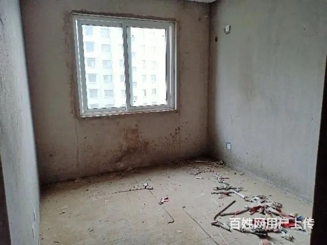 湖光丽景 - 图片 5