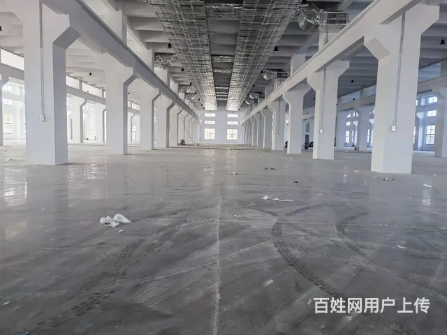 礼嘉新建一层厂房《真实有效》原子大 - 图片 2
