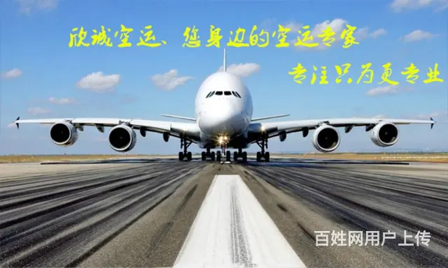 成都欣诚宠物托运公司 全国当日达 - 图片 8